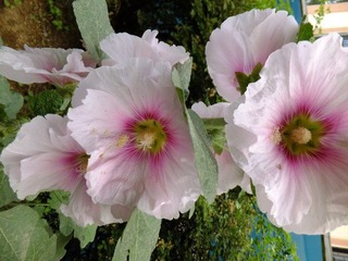 DSCF3347.JPG