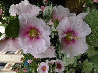 DSCF3348.JPG