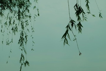 F522E3F3-CF04-43AA-AA0E-47A45DE15979/L0/001