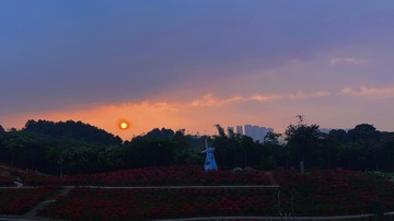 3300F4C7-CEC9-4E0D-8633-BE4811EB1A26/L0/001