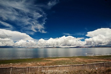 IMG_8455-编辑.jpg