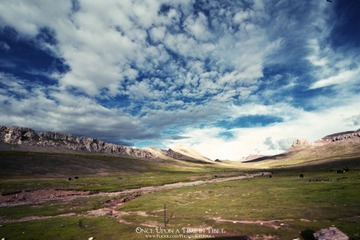 IMG_8693-编辑.jpg