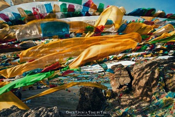 IMG_8867-编辑.jpg