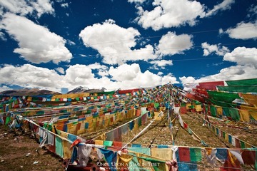 IMG_8965-编辑.jpg