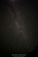IMG_9345.jpg