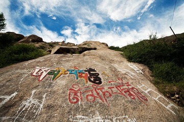 IMG_9794-编辑.jpg