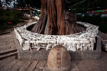 IMG_0123-编辑.jpg