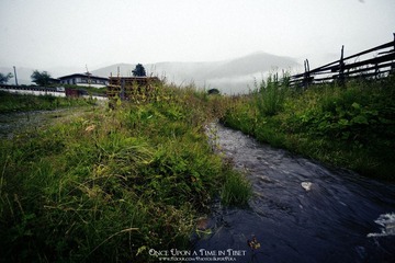 IMG_0342-编辑.jpg