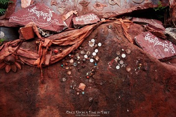 IMG_0737-编辑.jpg