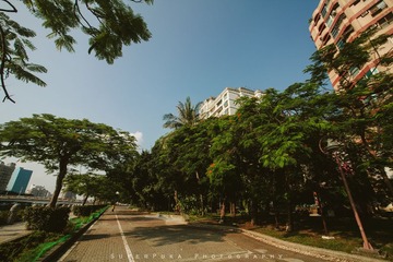 IMG_7465.jpg
