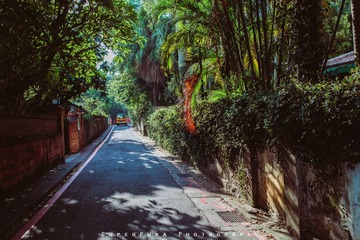 IMG_9971-2