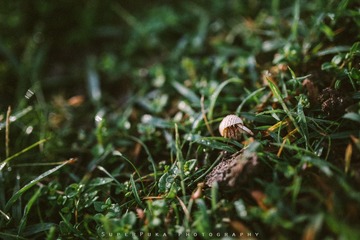 IMG_8713-2
