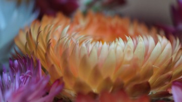 B8DC5890-A357-4667-98AE-4A1C3747C4D6/L0/001