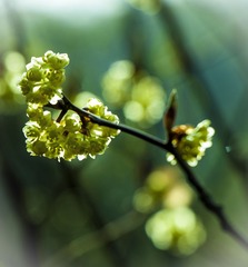 IMG_6270.jpg