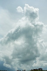 B1B77675-C0F0-4127-9037-478F2229D6F6/L0/001