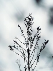 9DDB4839-3BE5-4D29-B91B-C7782F5F9792/L0/001