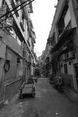IMG_4039.JPG