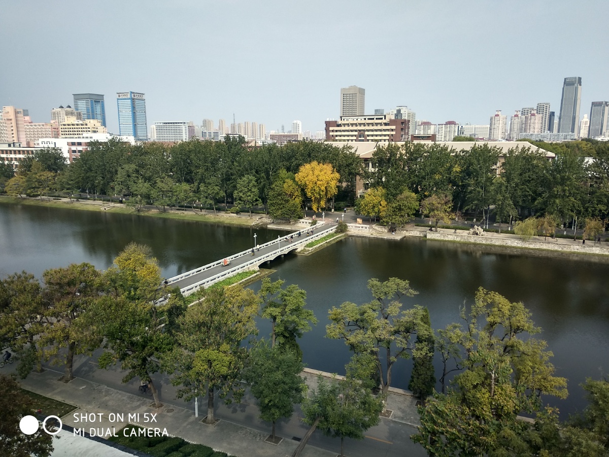 天津大学友谊湖,天津大学图片,天津大学校园(第2页)_大山谷图库
