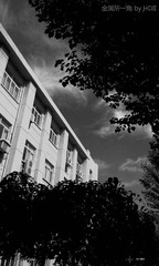 IMRSIDE