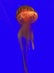 E6127C33-52C9-4D62-9A49-484261DF36CD/L0/001