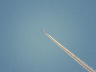 1000038252