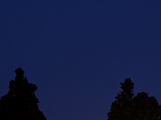 1000042996
