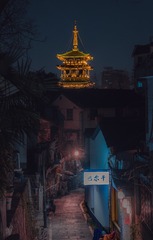 1000022733