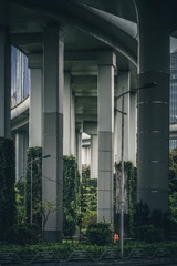 1000026967