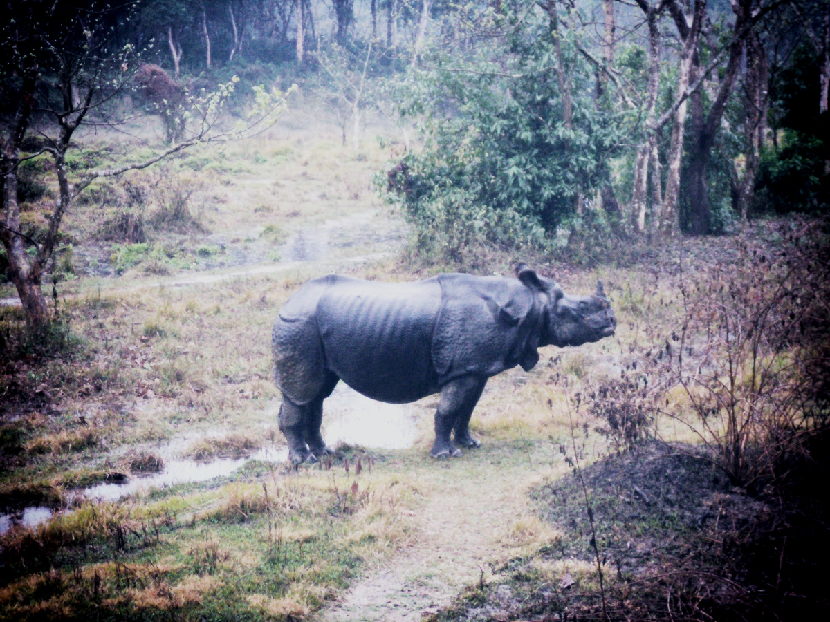 这个玩意还是躲远点