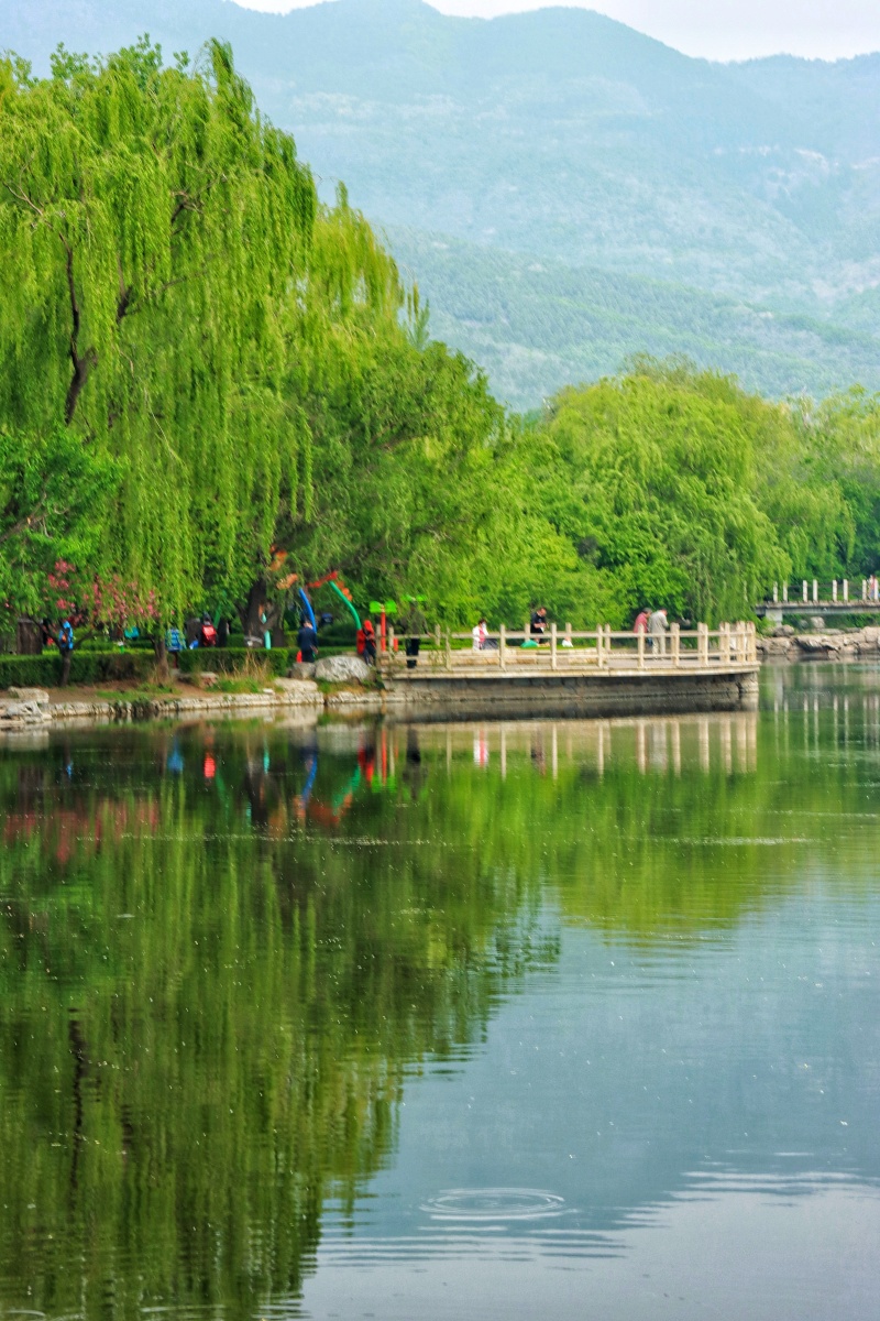 春天的景色北京植物园