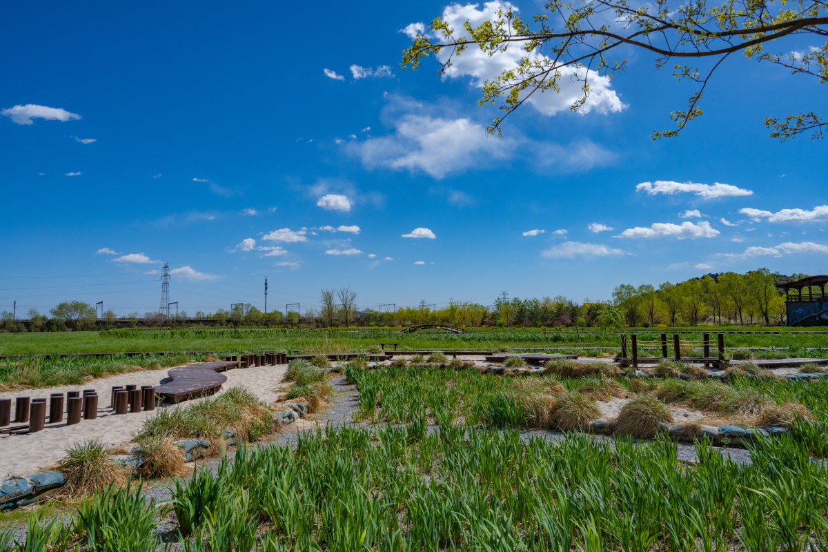 北京永定河森林休闲公园