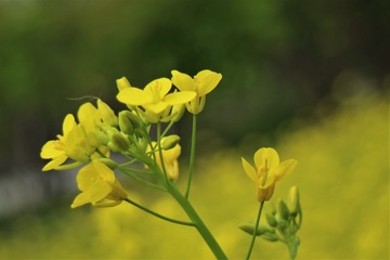 762540