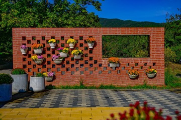 1000048379