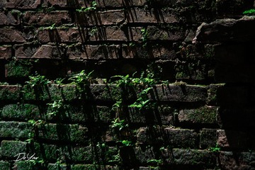 1CF374D0-CC38-4580-98B0-3663052C35BE/L0/001
