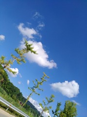 D49753BC-11B9-4CBC-9894-0B8BC589926B/L0/001