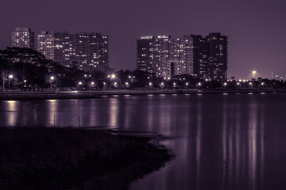 紫色深湾<br />
深圳红树湾旁边的中信红树湾住宅区算是那一片的地标建筑了，白天绿颜色的玻璃建筑，晚上却有别样的风情，再加上白平衡调制，更是赋予这栋红树林湿地旁的建筑一种神秘和高贵。<br />
索尼NEX5N，E18-55，f/11.0 163s, ISO100