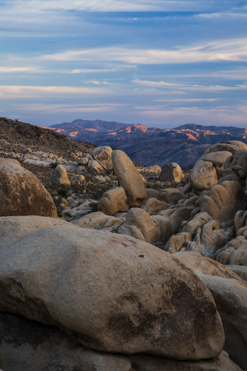 joshua tree 国家公园