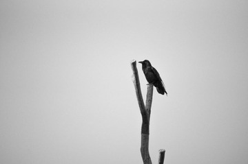 Ze_HG (8 of 25).jpg