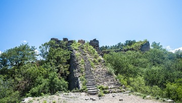 DSC_0611