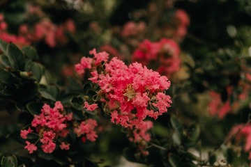 F9D96A35-E5DA-43B5-B5B4-4D8F2BE9F5D7/L0/001