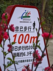 1000031592