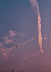 1000094289