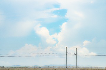 1000052981