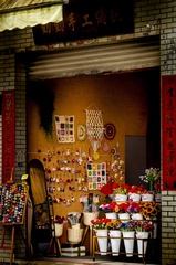 IMGP9546