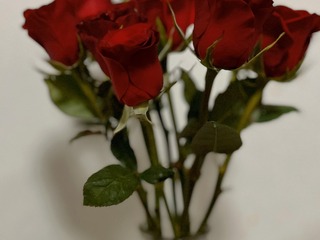 F5613F27-211A-4C3D-B482-D3B510211BA0/L0/001