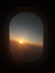 1000082570