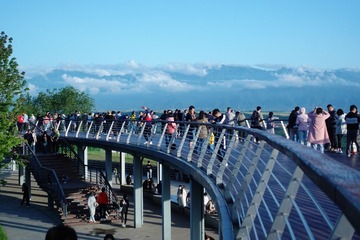 29737DE0-31AA-4EA3-9D6B-A8B95B660997/L0/001