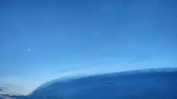 1000016224