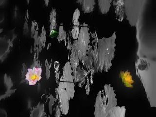 001
