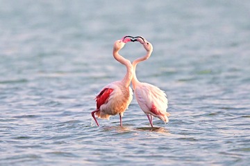 11703